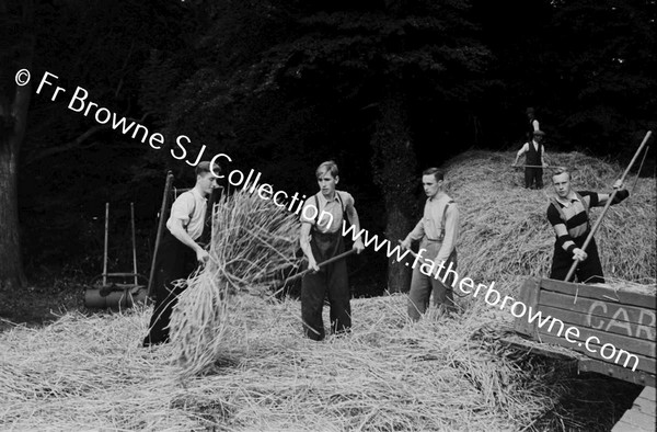 THRESHING AT ST MARYS